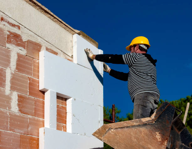 Best Residential Insulation in Lakeshire, MO