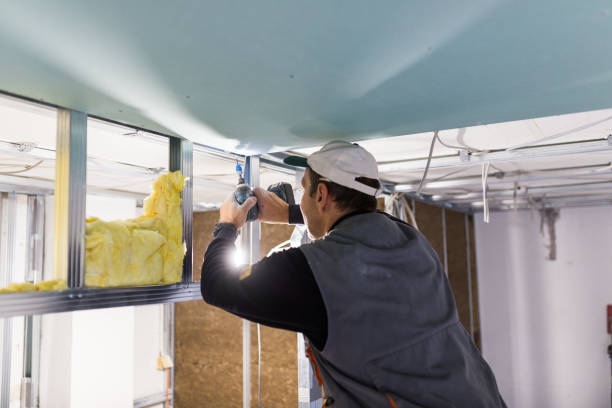 Best Insulation Maintenance and Repair in Lakeshire, MO