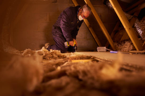 Best Insulation for Specific Applications in Lakeshire, MO
